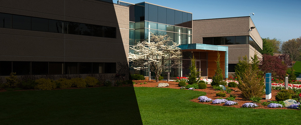 Louisiana Landscapers