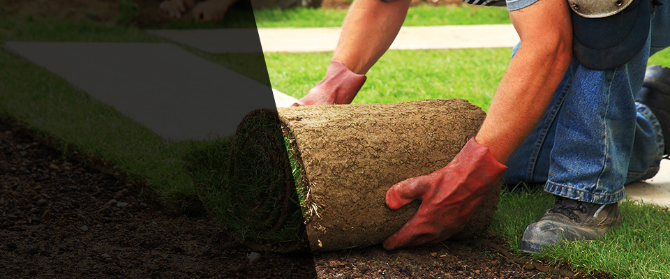 Louisiana Landscapers